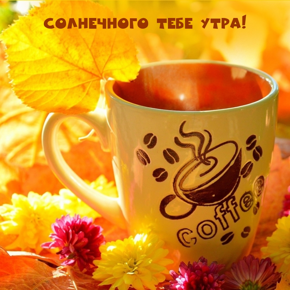 Солнечного тебе утра!