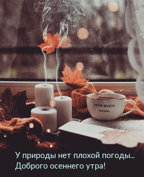 У природы нет плохой погоды… Доброго осеннего утра!