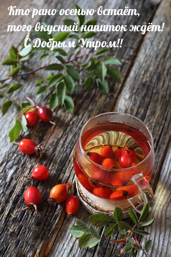 Кто рано осенью встаёт, того вкусный напиток ждёт! С Добрым Утром!!