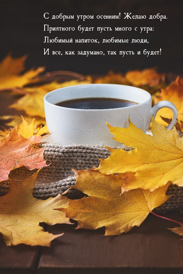 С добрым утром осенним! Желаю добра.