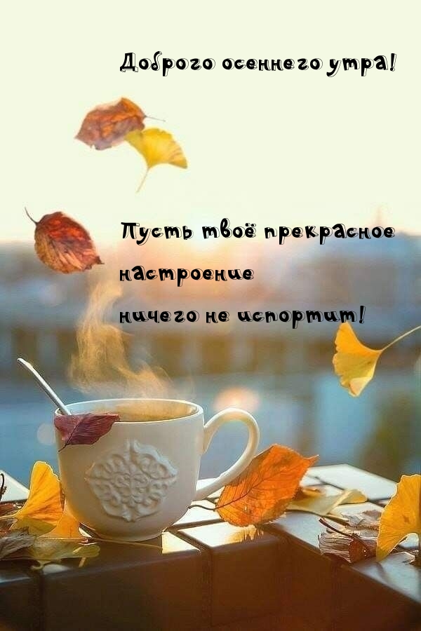 Доброго осеннего утра!