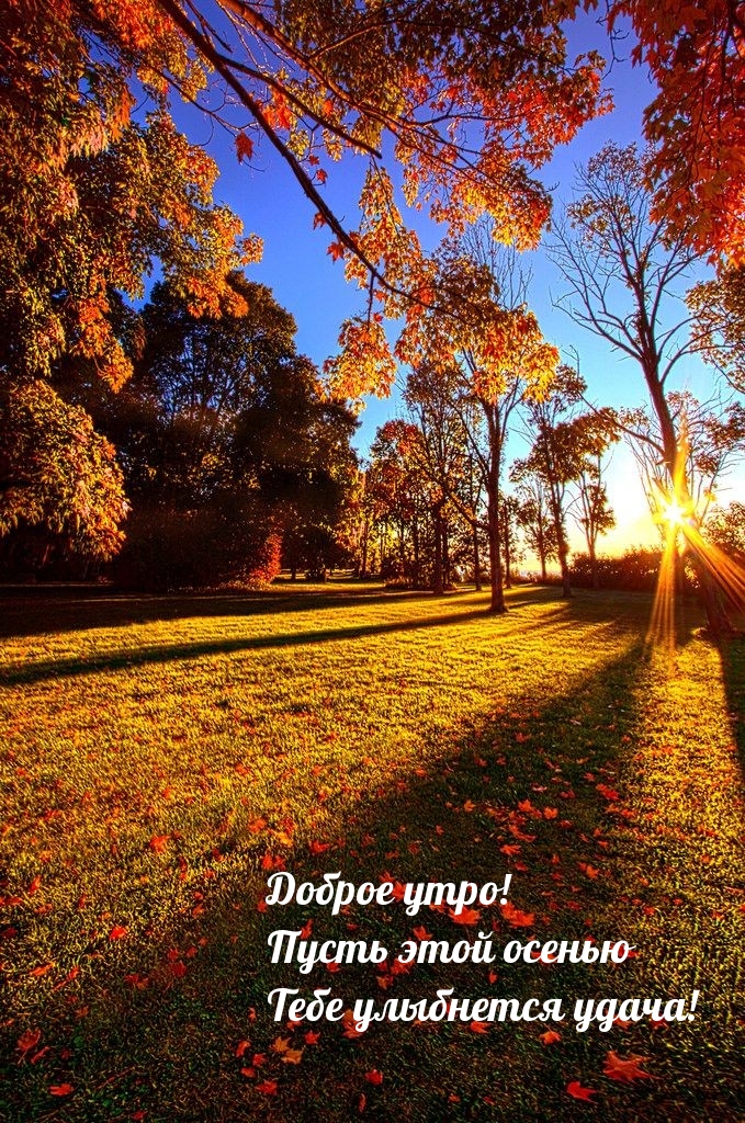 Доброе утро! Пусть этой осенью Тебе улыбнется удача!