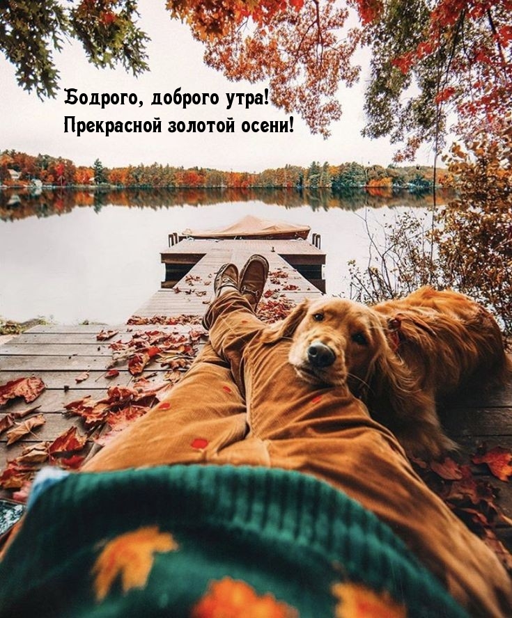 Бодрого, доброго утра! Прекрасной золотой осени!