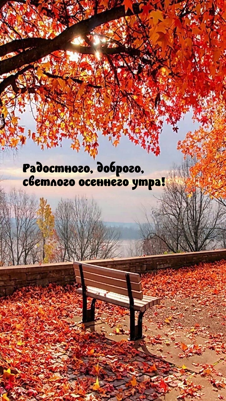 Радостного, доброго, светлого осеннего утра!