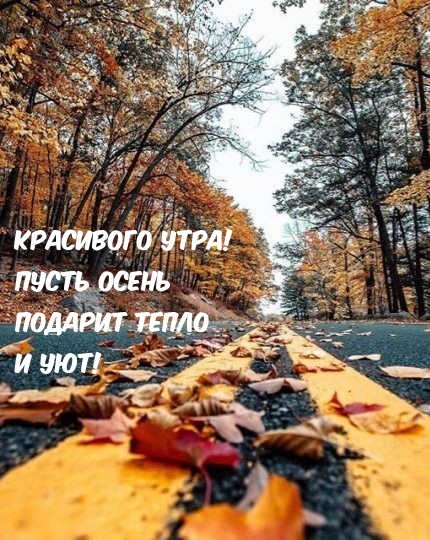 Красивого утра! Пусть осень подарит тепло и уют!