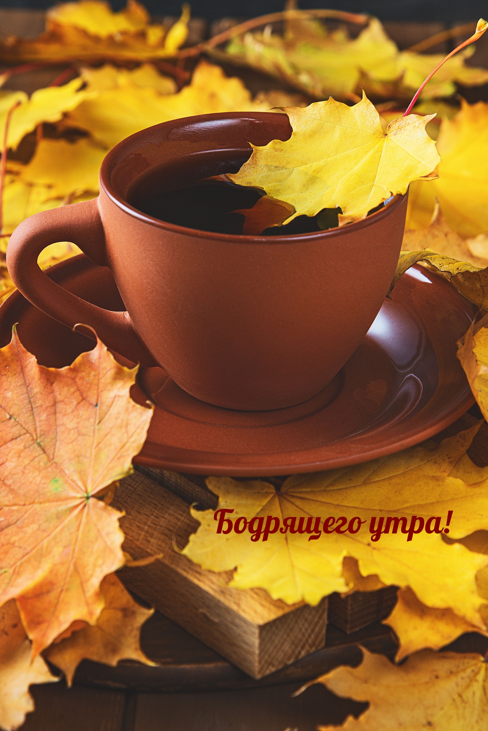 Бодрящего утра!