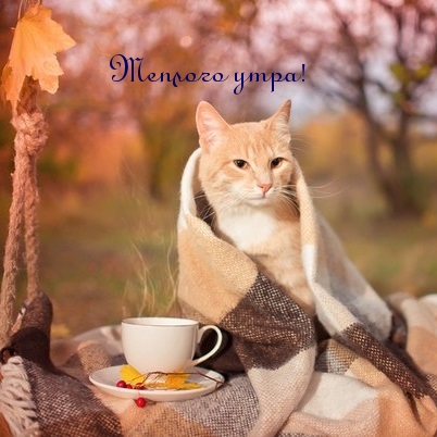 Теплого утра!