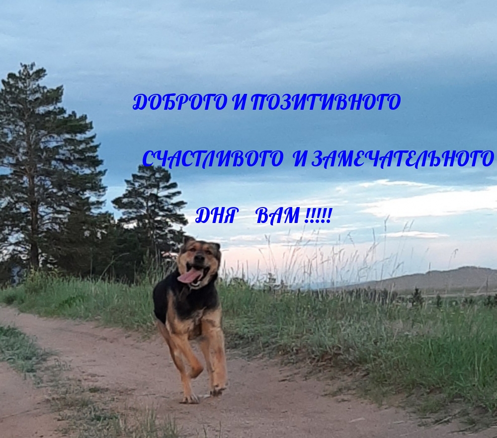 Доброго и позитивного дня