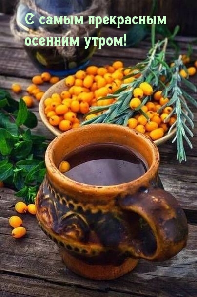 С самым прекрасным осенним утром!