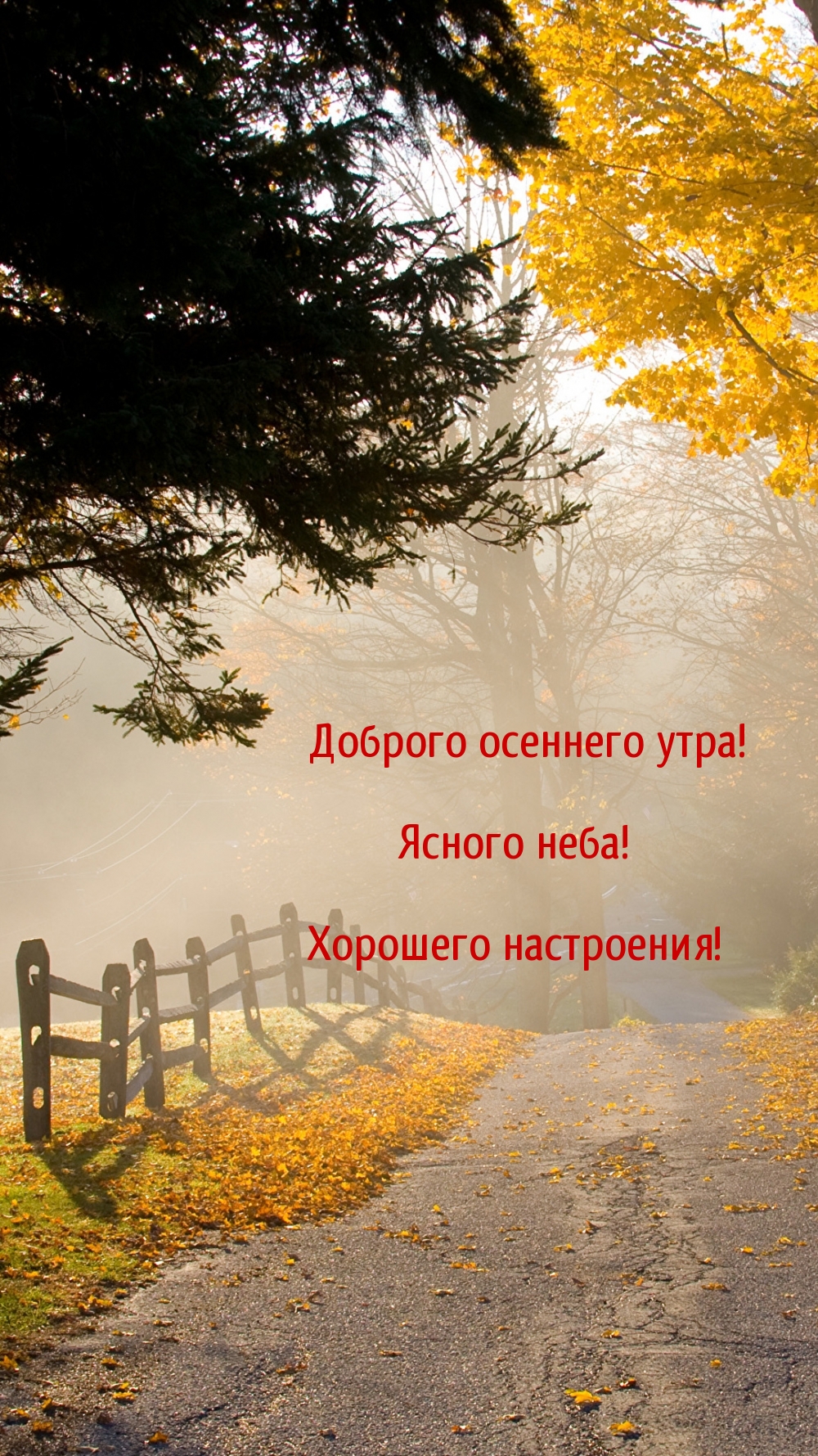 Доброго осеннего утра! Ясного неба!