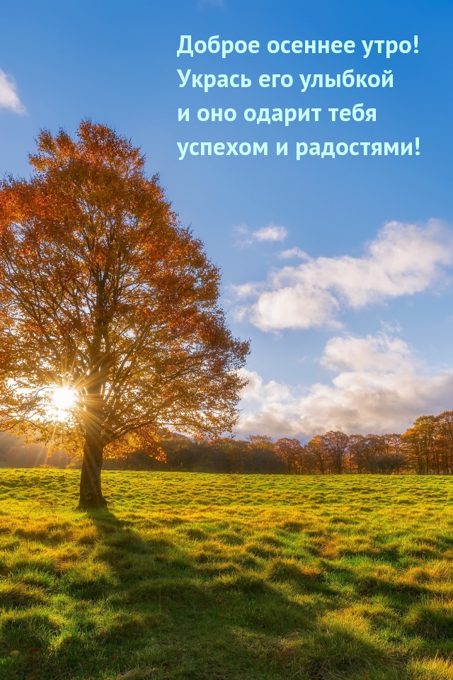 Доброе осеннее утро! Укрась его улыбкой
