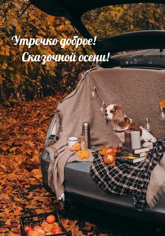 Утречко доброе! Сказочной осени!