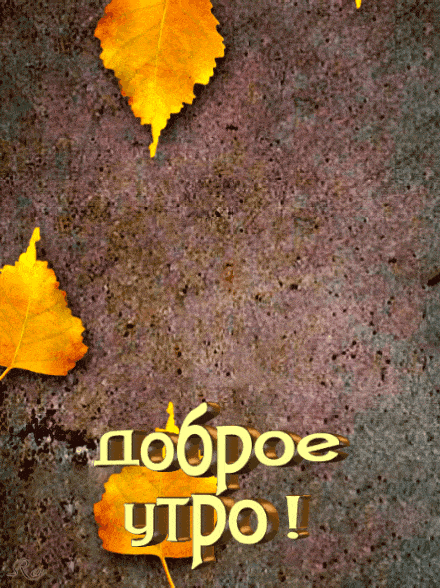 Доброе утро!