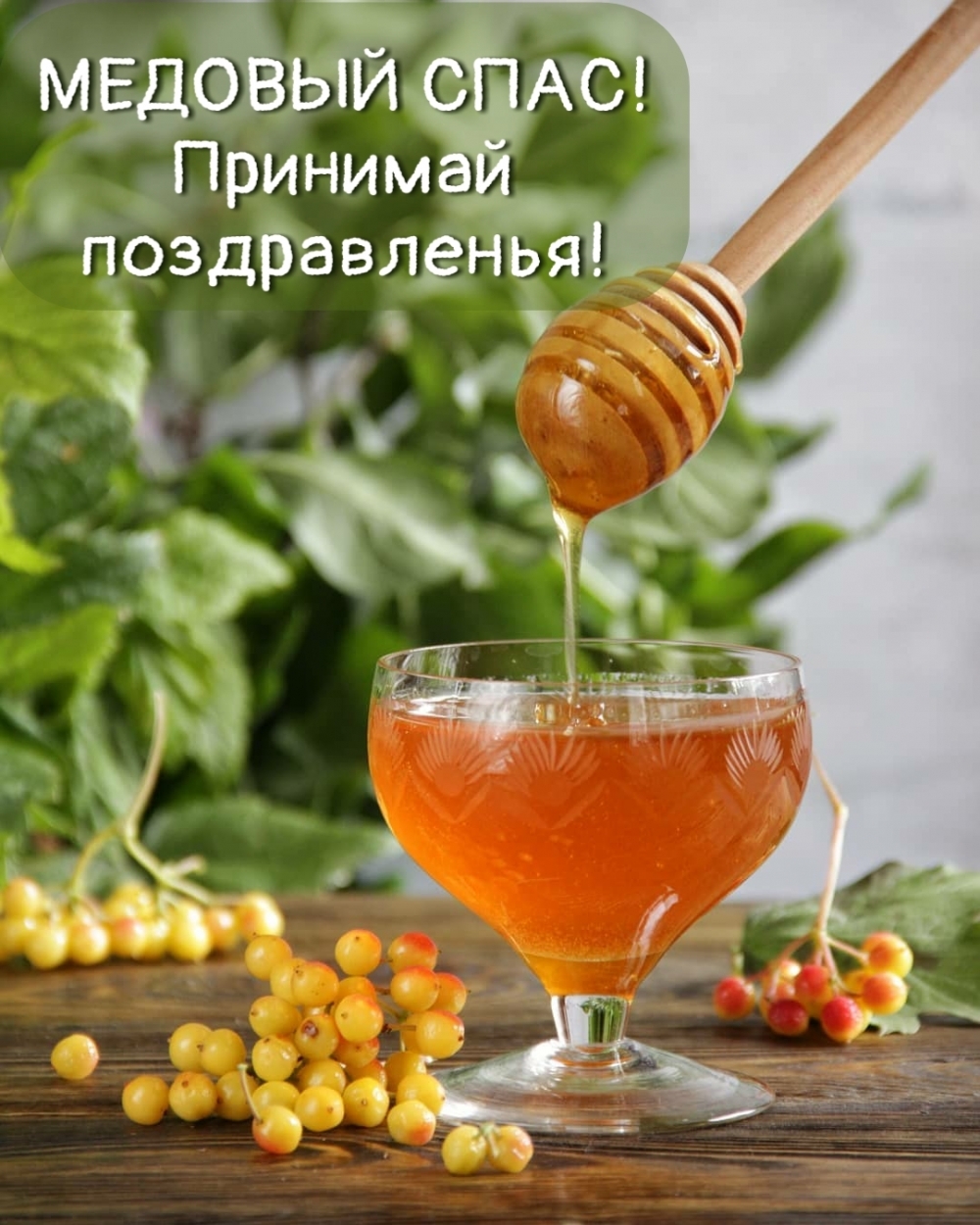 МЕДОВЫЙ СПАС! Принимай поздравленья!