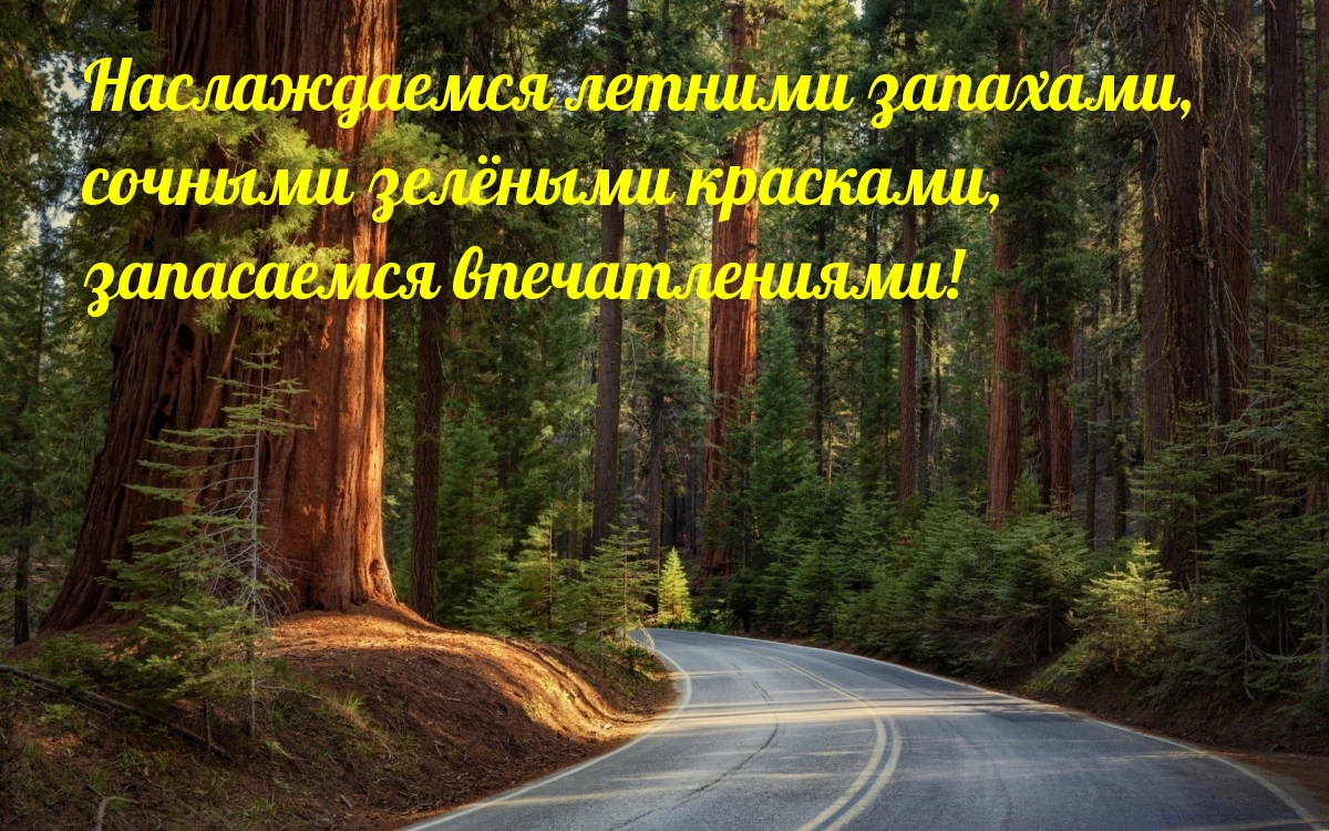 Наслаждаемся летними запахами