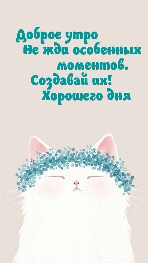 Доброе утро не жди особенных моментов.