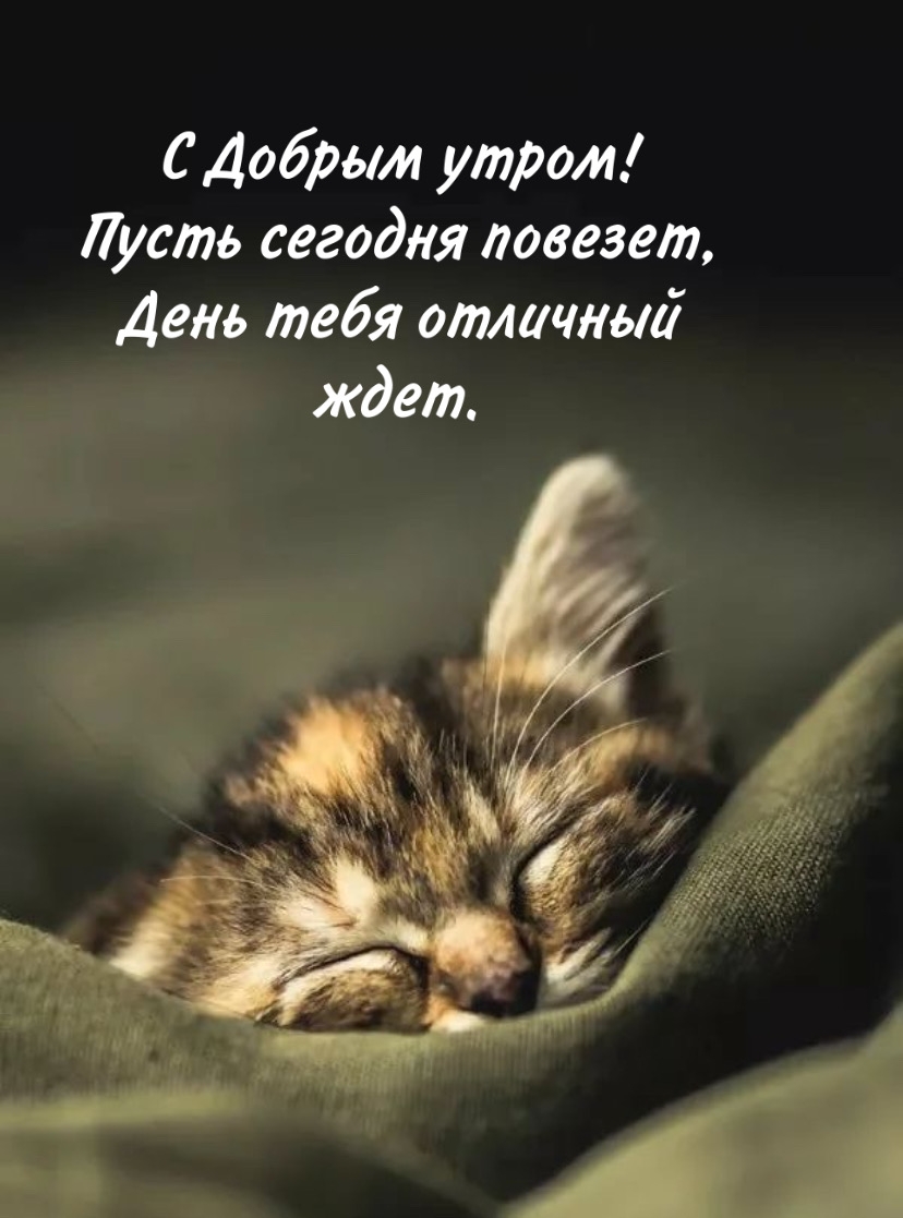 С Добрым утром! Пусть сегодня повезет