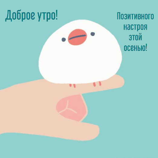Доброе утро! Позитивного настроя