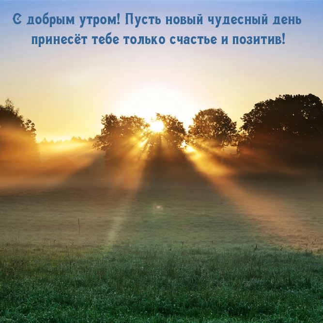 С добрым утром! Пусть новый день принесёт тебе счастье