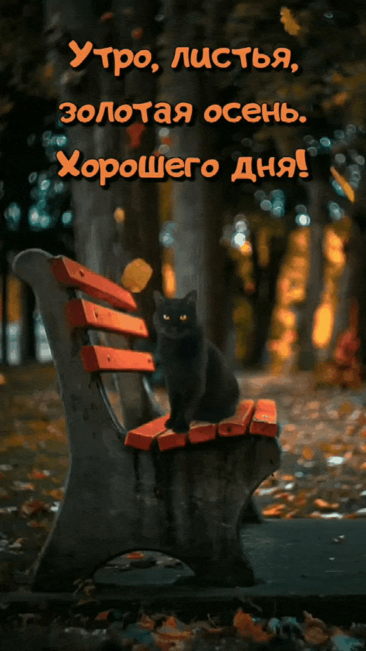 Картинки с надписями.  Утро, листья, золотая осень. Хорошего дня!.