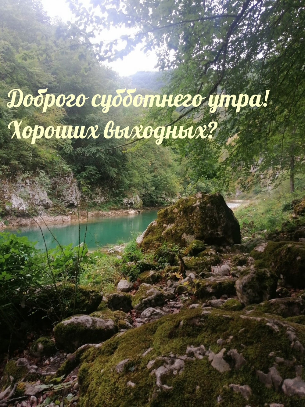Доброго субботнего утра! Хороших выходных?