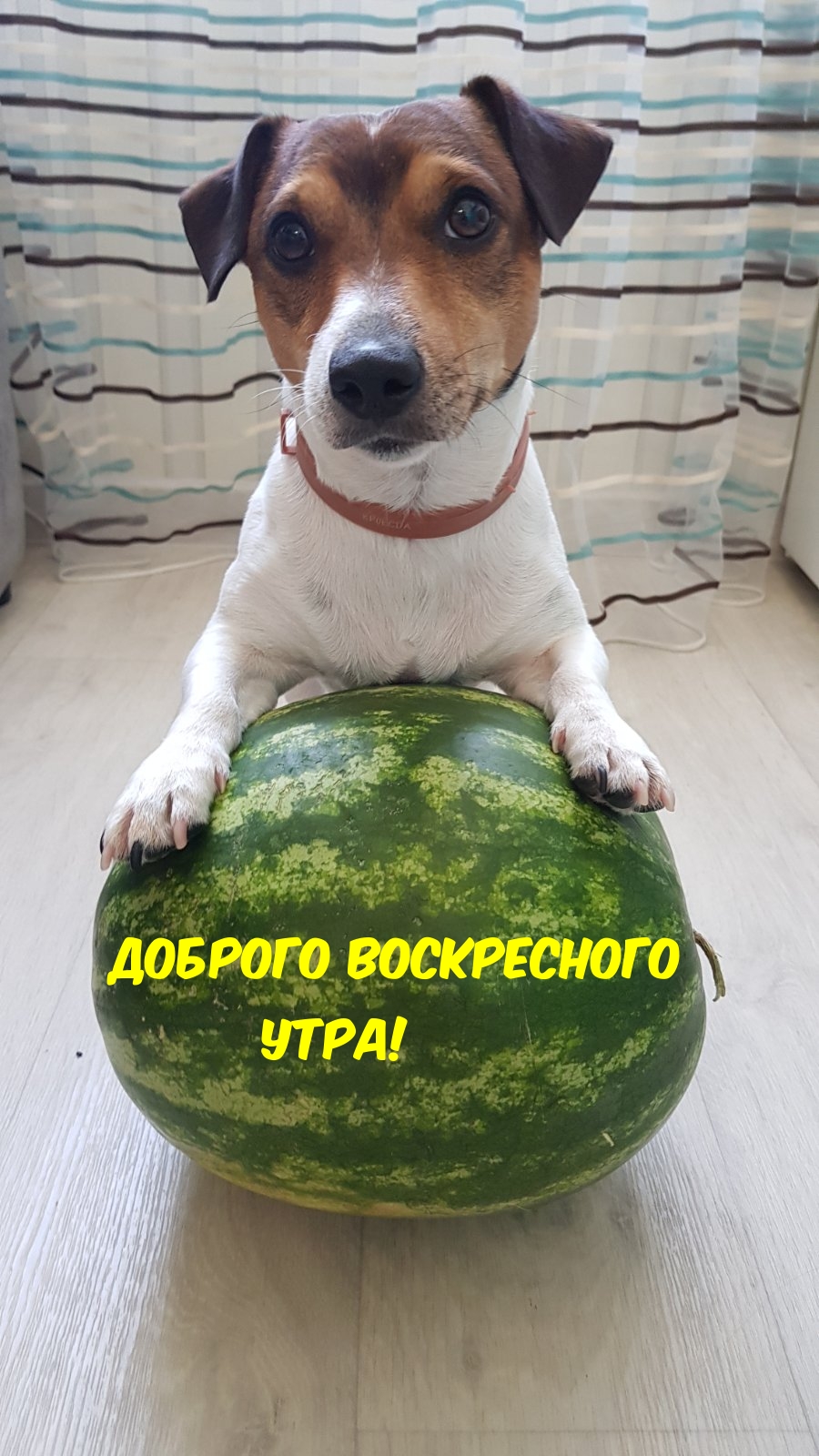 Доброго воскресного утра!