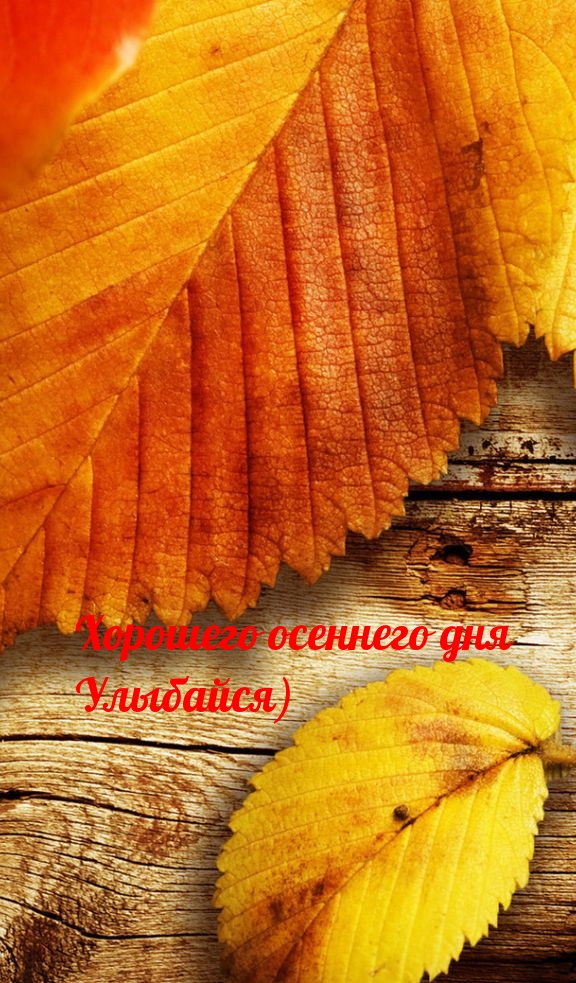 Хорошего осеннего дня Улыбайся)