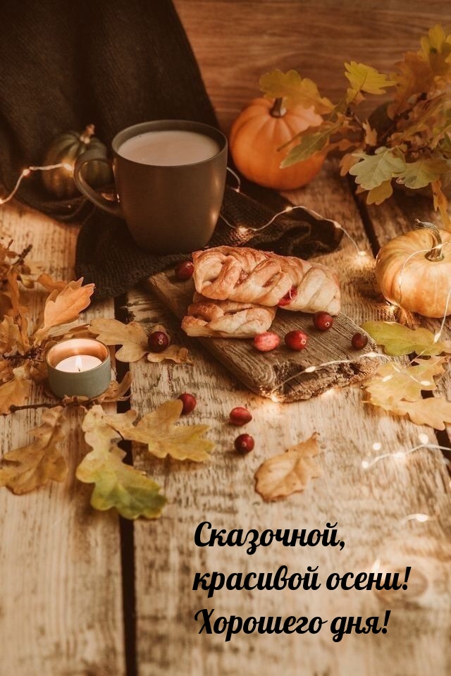 Сказочной, красивой осени! Хорошего дня!