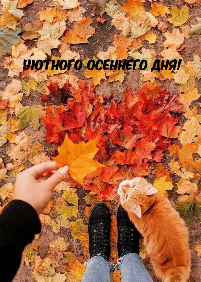 Уютного осеннего дня!