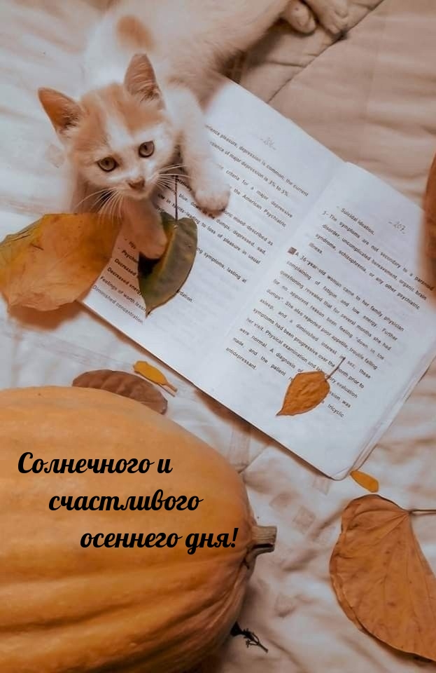 Солнечного и счастливого осеннего дня!