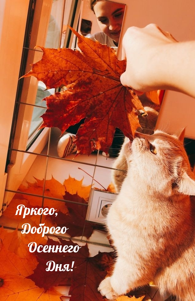 Яркого, Доброго Осеннего Дня!