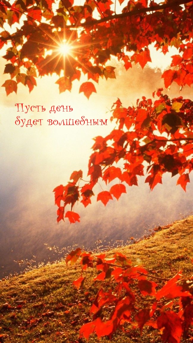 Пусть день будет волшебным