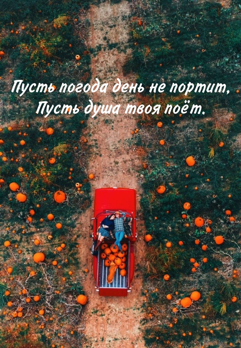 Пусть погода день не портит, пусть душа твоя поёт.