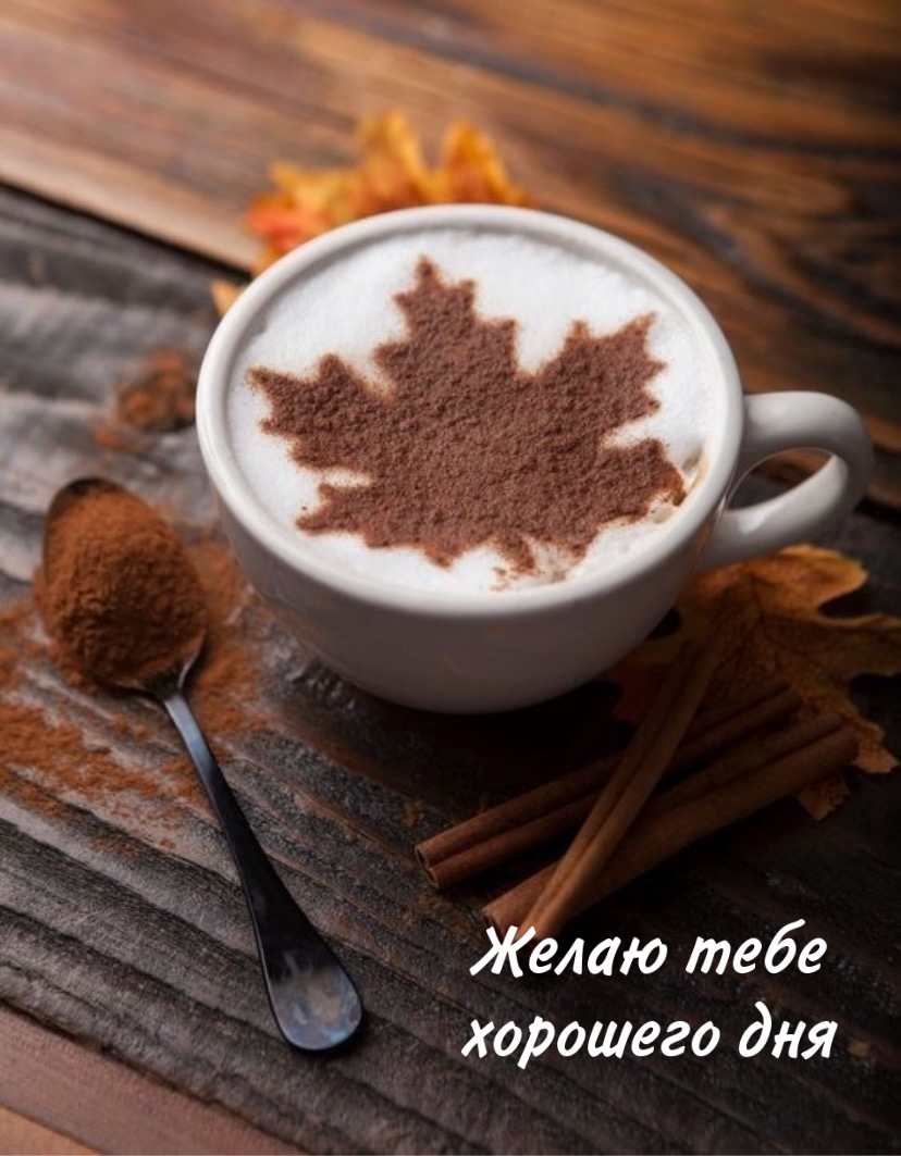 Желаю тебе хорошего дня