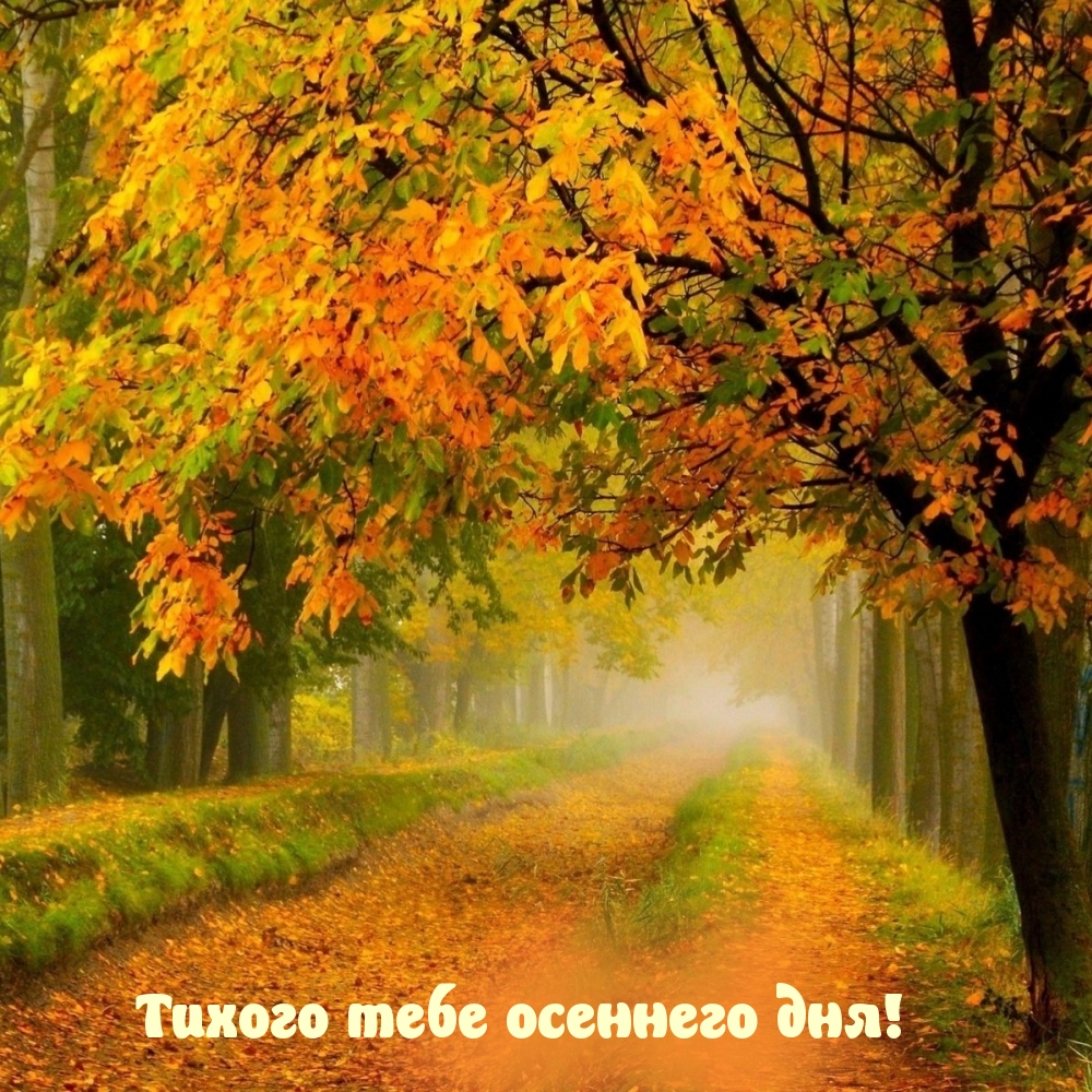 Тихого тебе осеннего дня!