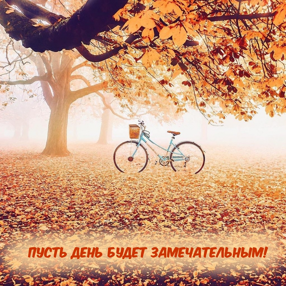 Пусть день будет замечательным!