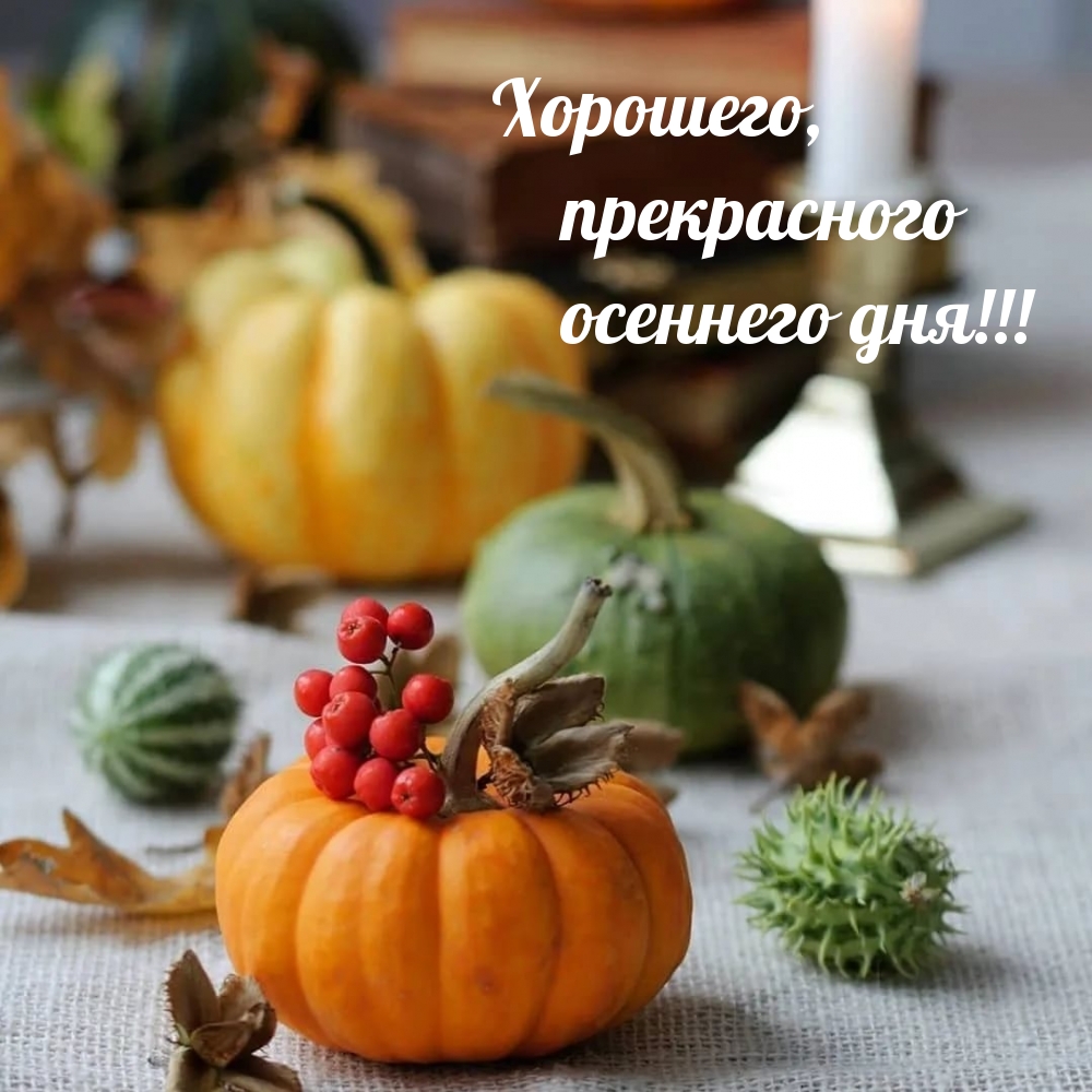 Хорошего, прекрасного осеннего дня!