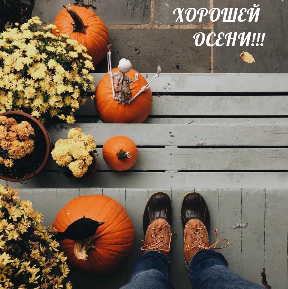 ХОРОШЕЙ ОСЕНИ!