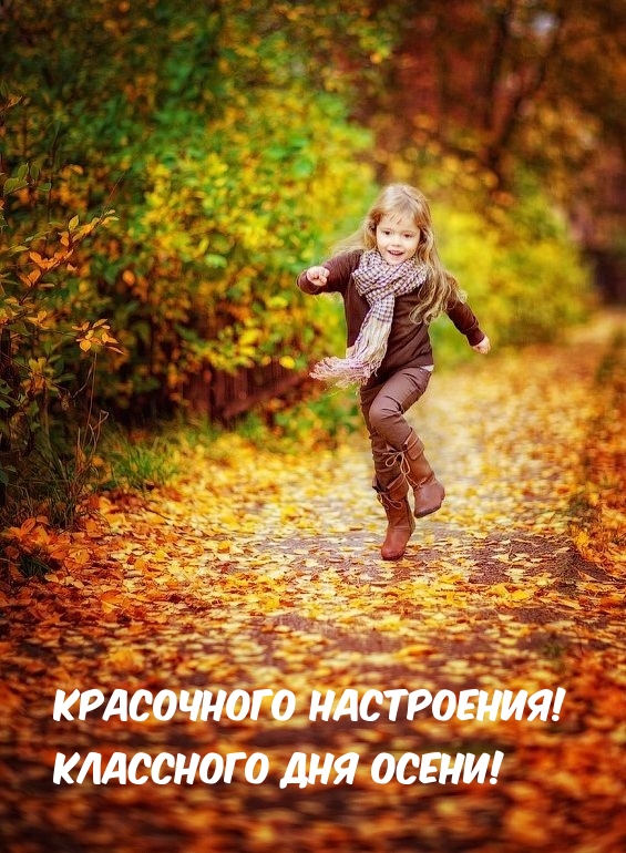 Красочного настроения! Классного дня осени!