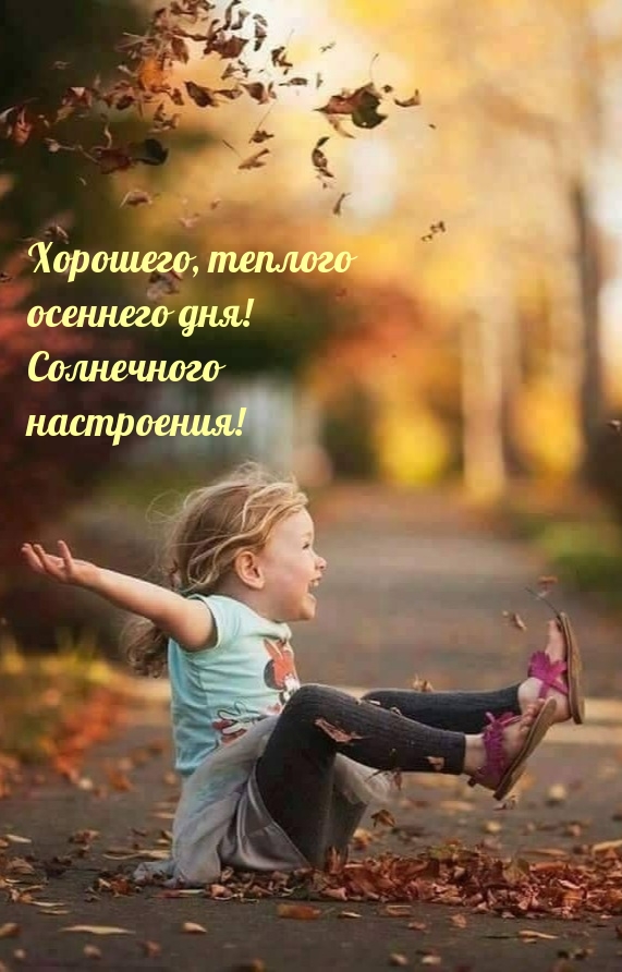 Хорошего, теплого осеннего дня! Солнечного настроения!