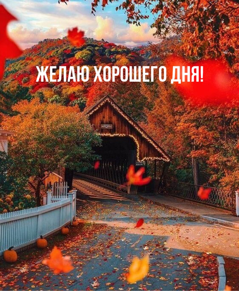 Желаю хорошего дня!