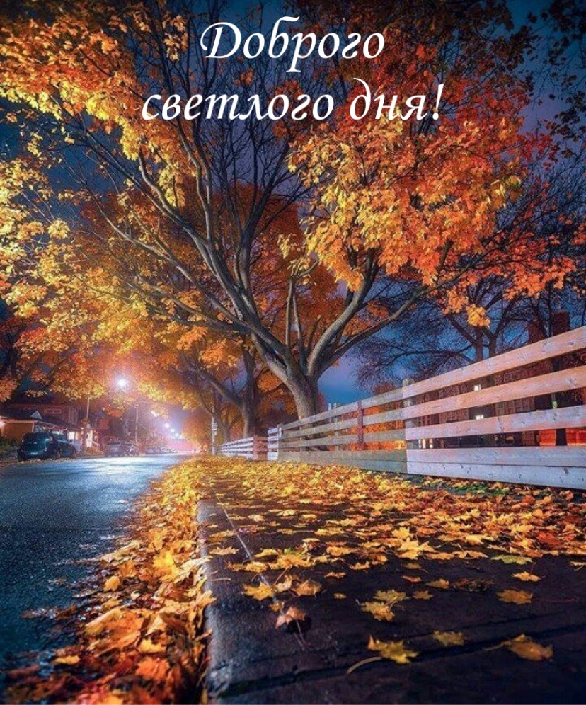 Доброго светлого дня!