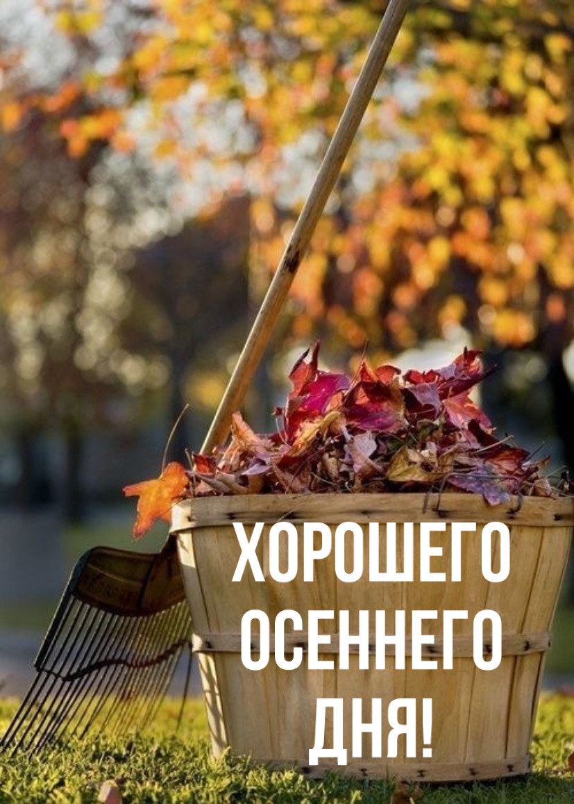 Хорошего осеннего дня!