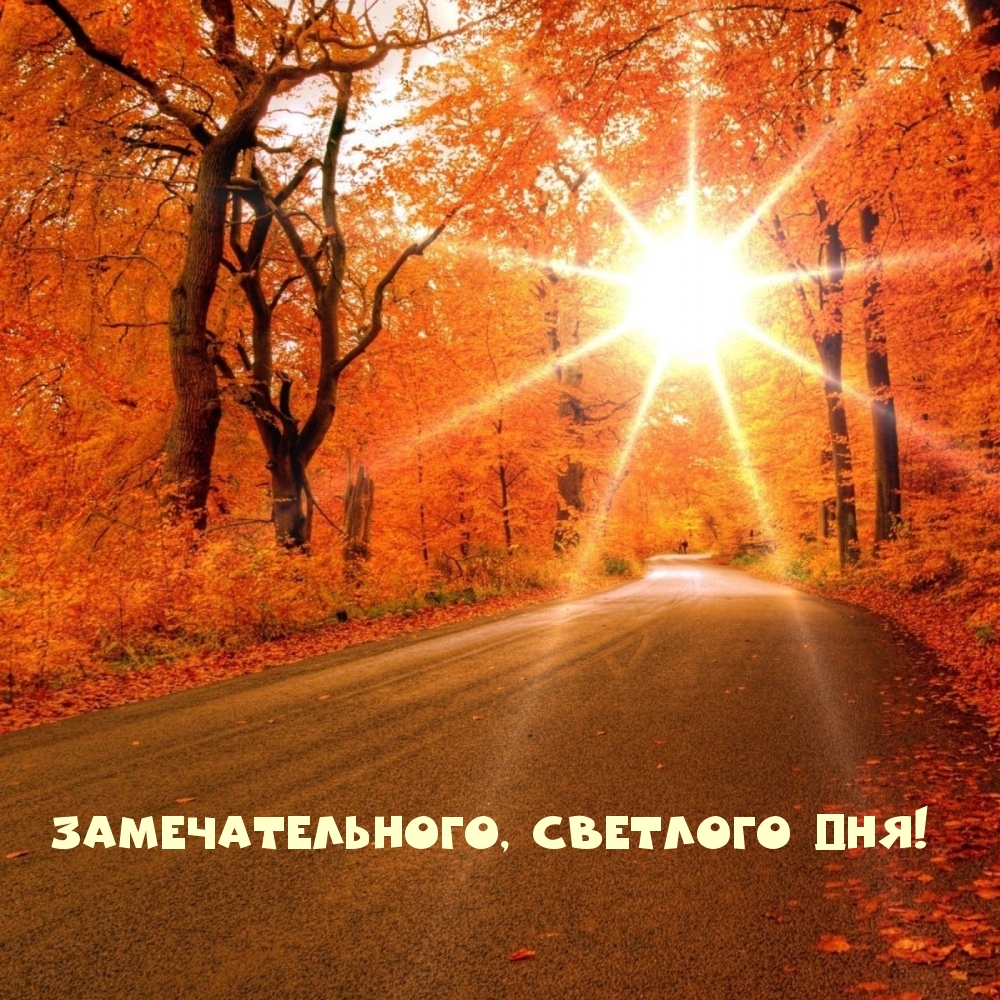 Замечательного, светлого дня!