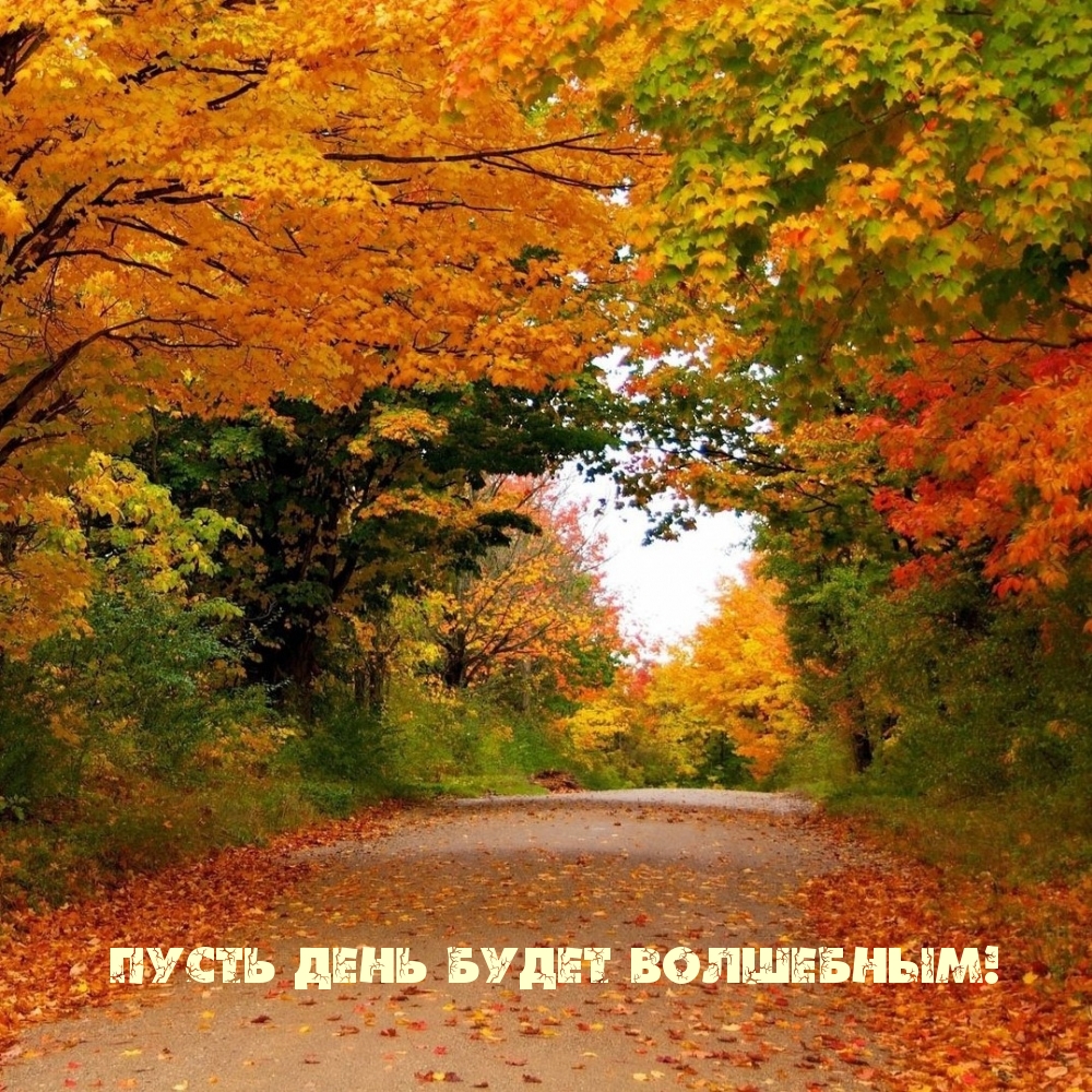 Пусть день будет волшебным!