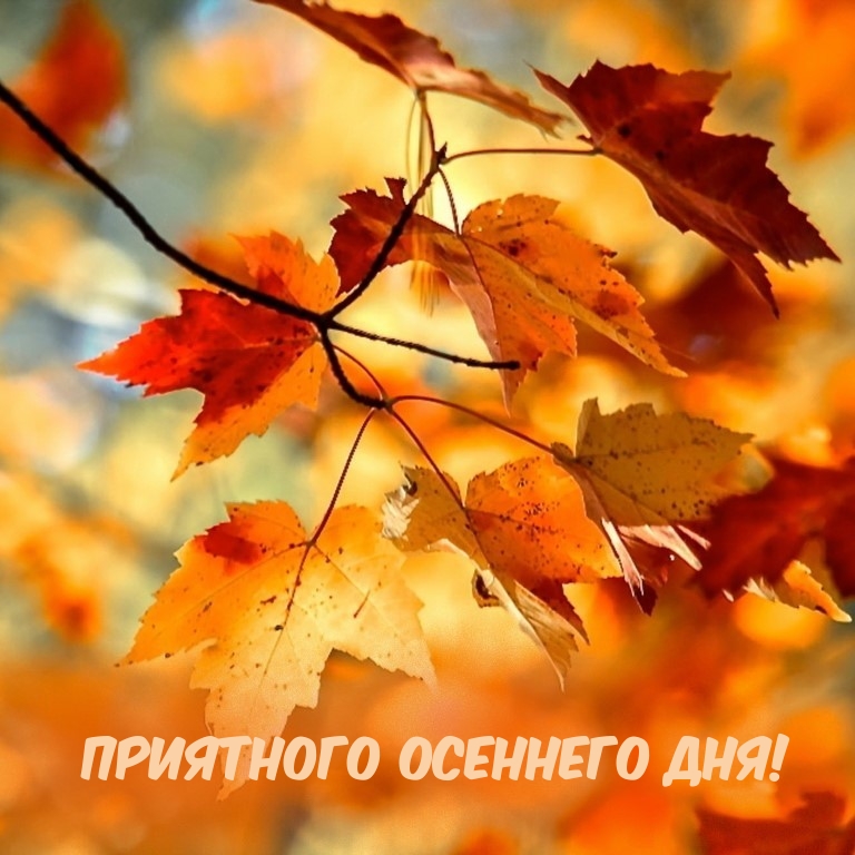 Приятного осеннего дня!