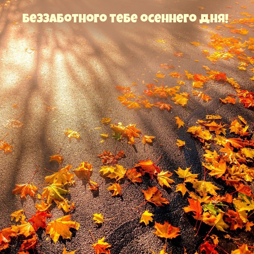 Беззаботного тебе осеннего дня!