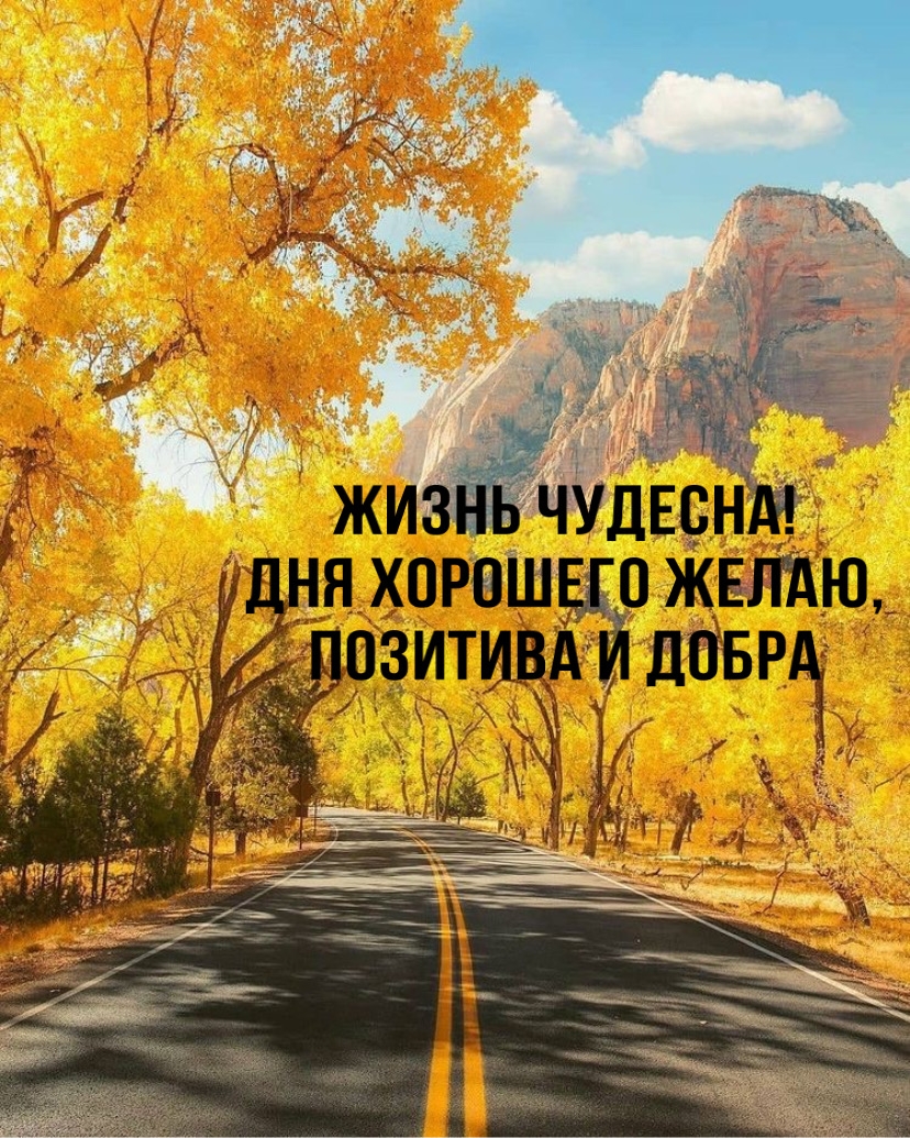 Жизнь чудесна! Дня хорошего желаю, позитива и добра