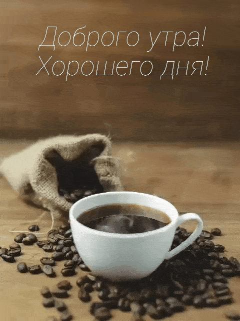 Доброго утра! Хорошего дня!
