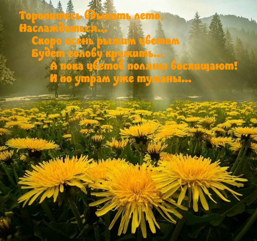 Торопитесь вдыхать лето, наслаждаться…